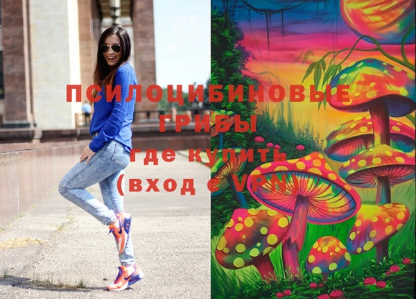 сатива Россошь